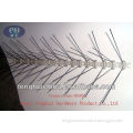 first hand factory transparent plastic bird spikes from China